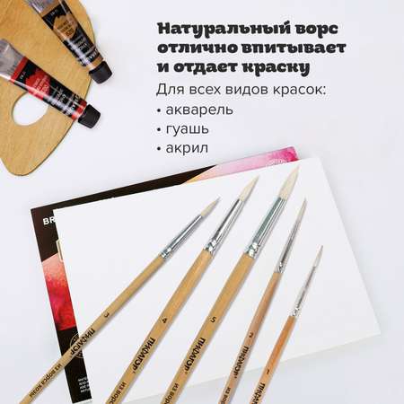 Кисть Пифагор 5 шт. (коза)