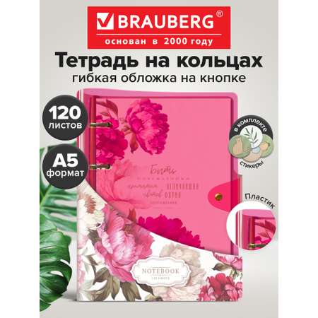 Тетрадь со сменным блоком Brauberg клетка 120 лист.