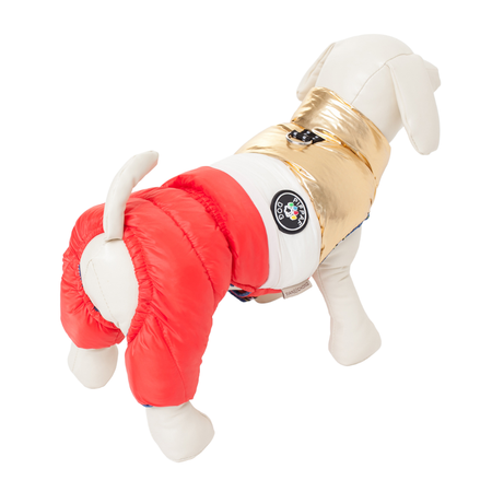 Комбинезон для собак PIFPAF DOG