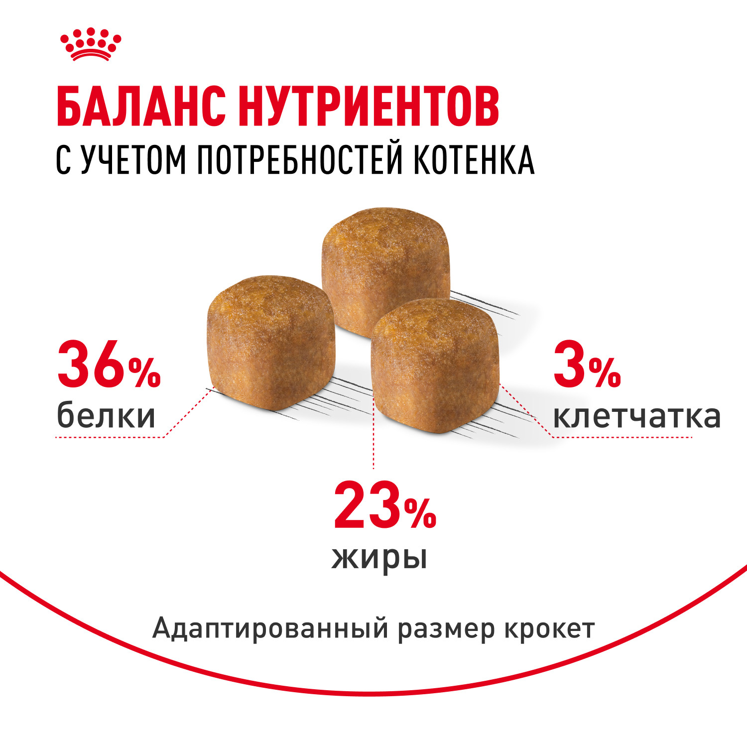 Корм для котят Royal Canin 400г Maine Coon породы мейн-кун - фото 4
