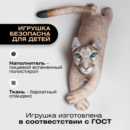 Сквиш Мемограм