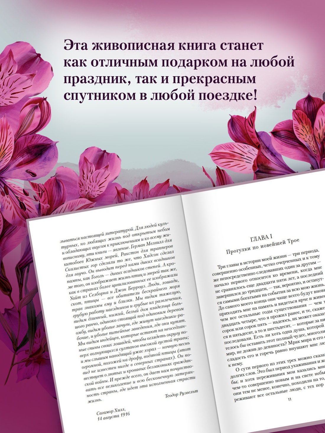 Книга АЗБУКА НастрЧит. Хадсон У. Пурпурная Земля - фото 8