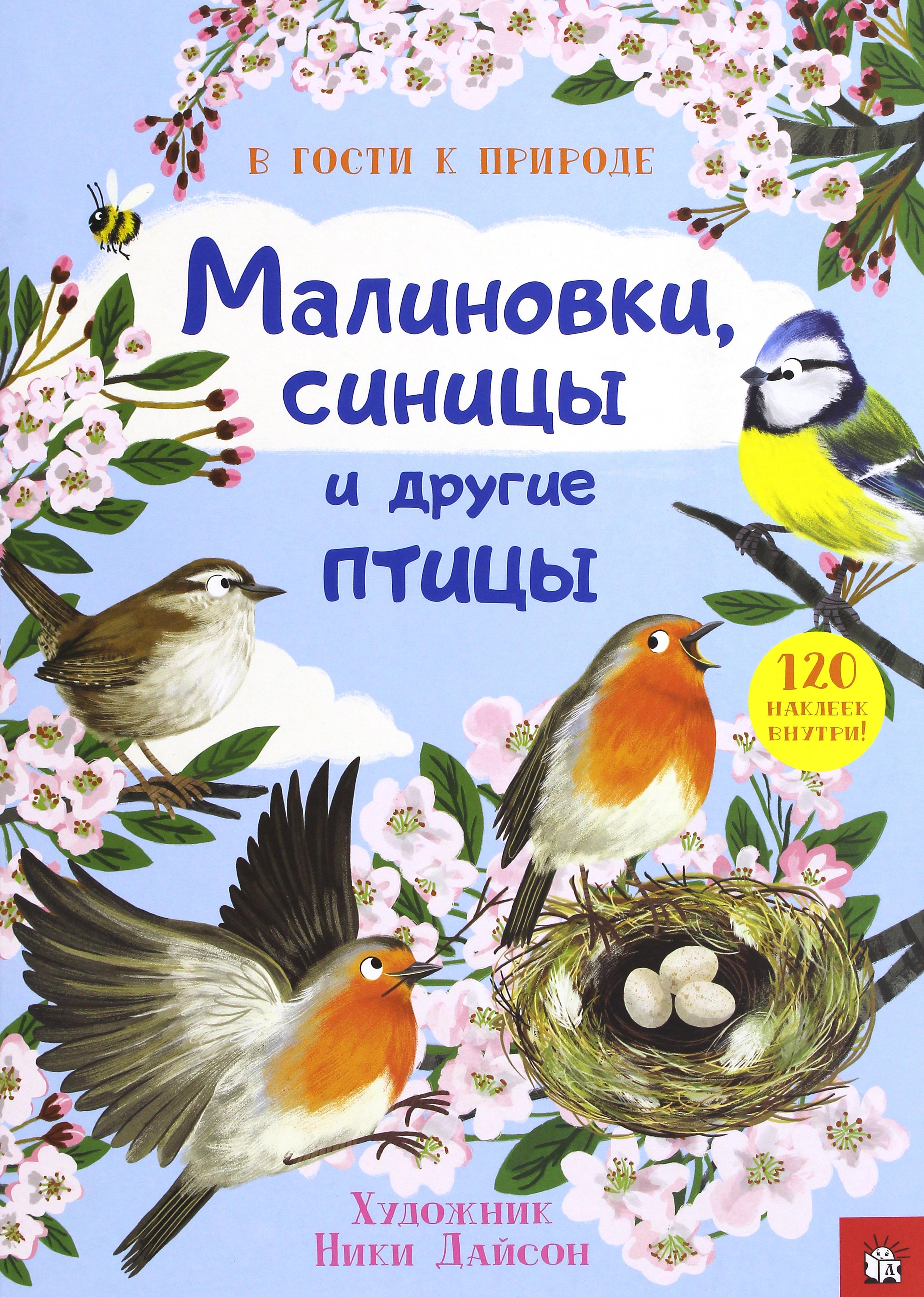 Книга Лабиринт В гости к природе Малиновки синицы и другие птицы - фото 1