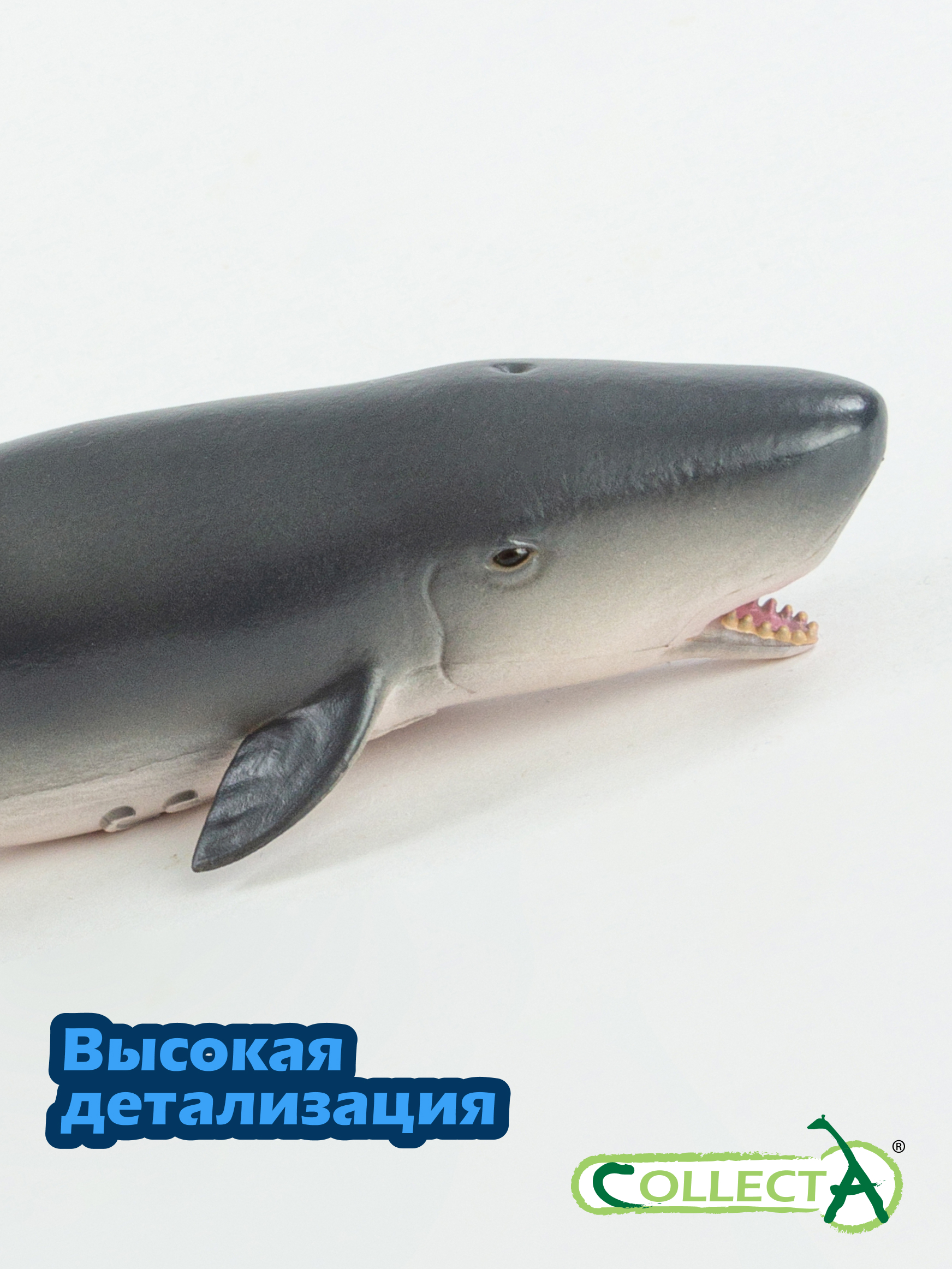 Фигурка Collecta Карликовый кашалот - фото 3