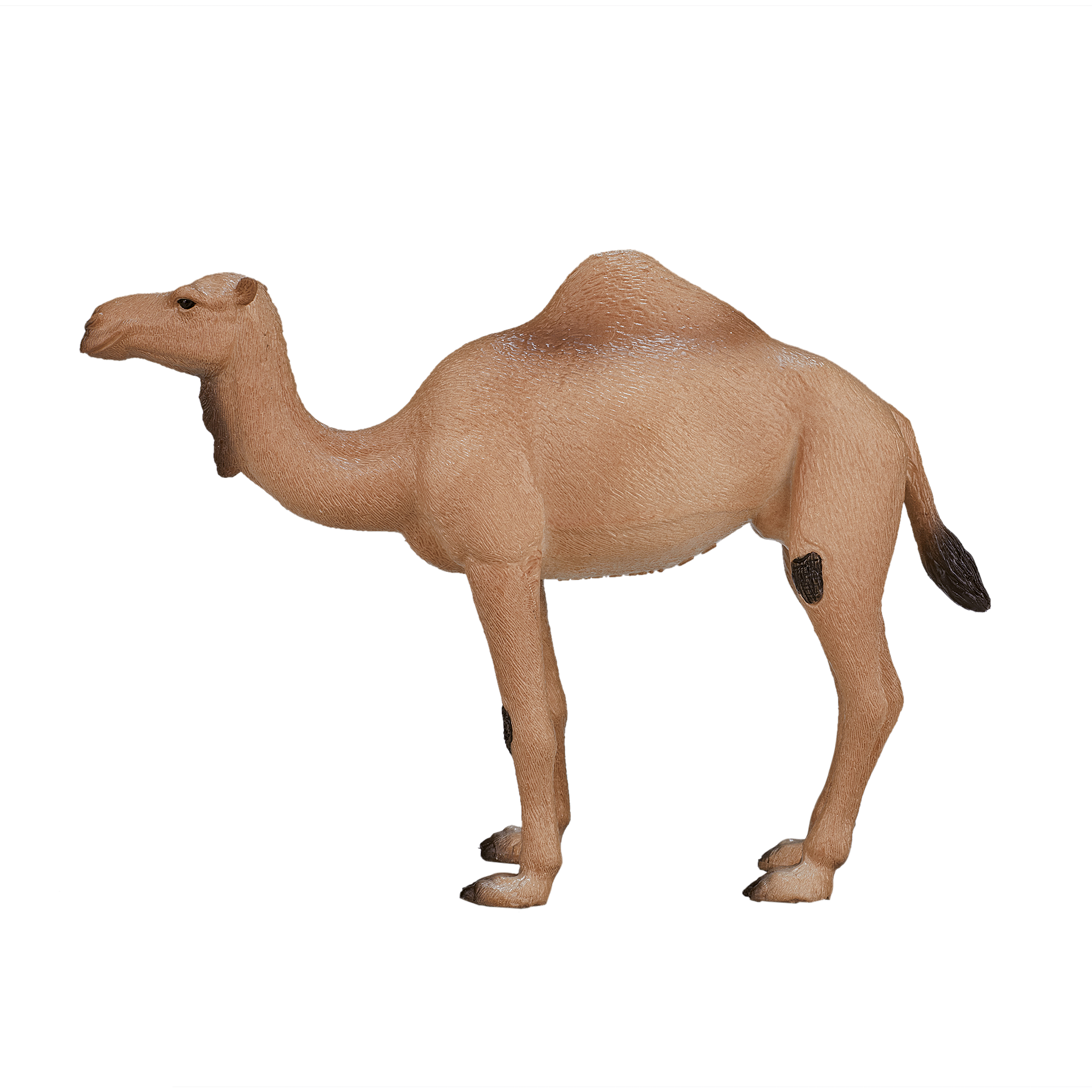 Фигурка KONIK Одногорбый верблюд - фото 1