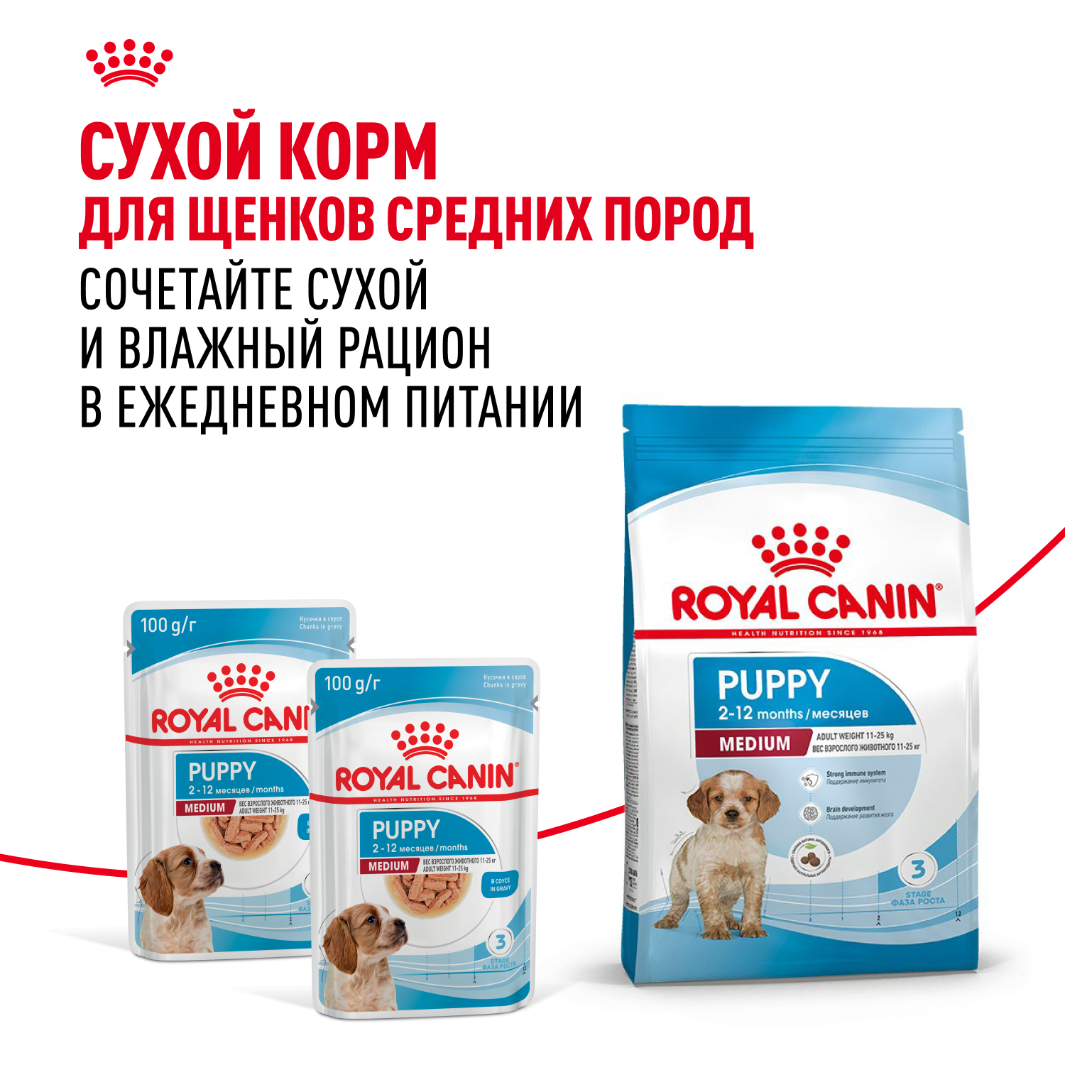 Корм для щенков влажный ROYAL CANIN Medium Puppy средних пород в возрасте до 12 месяцев соус 100 г - фото 8