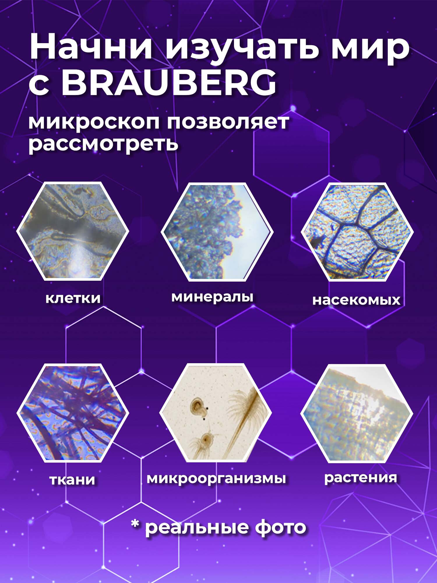 Микроскоп Brauberg - фото 6