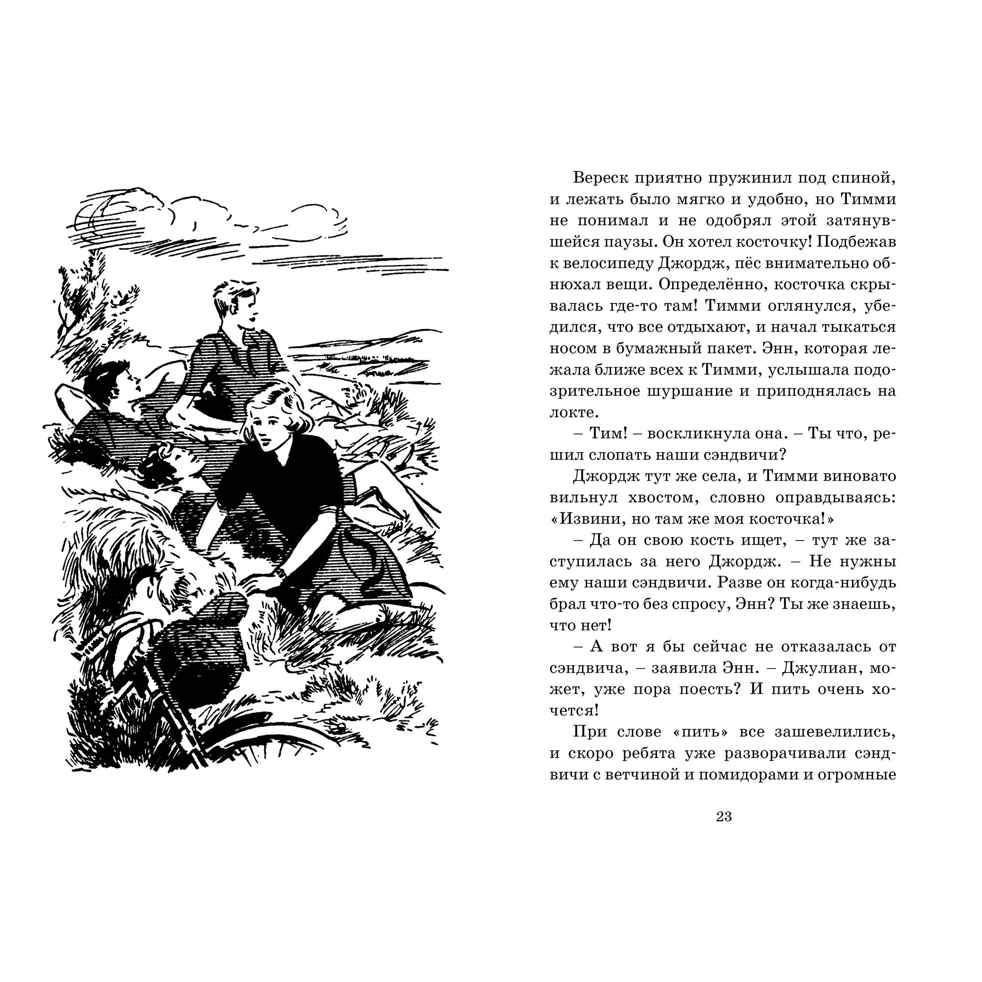 Книга МАХАОН Пропавший самолёт. Детский детектив. Знаменитая пятерка - фото 4