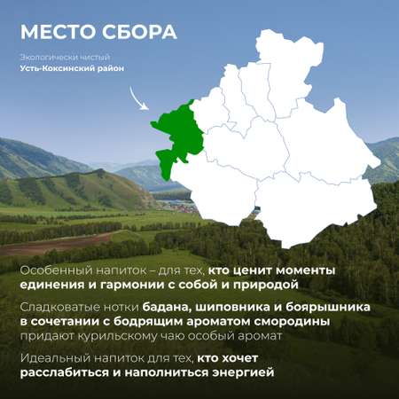 Напиток чайный Предгорья Белухи Травяной чай в пакетиках с яблоком шиповником баданом листом смородины 27 гр