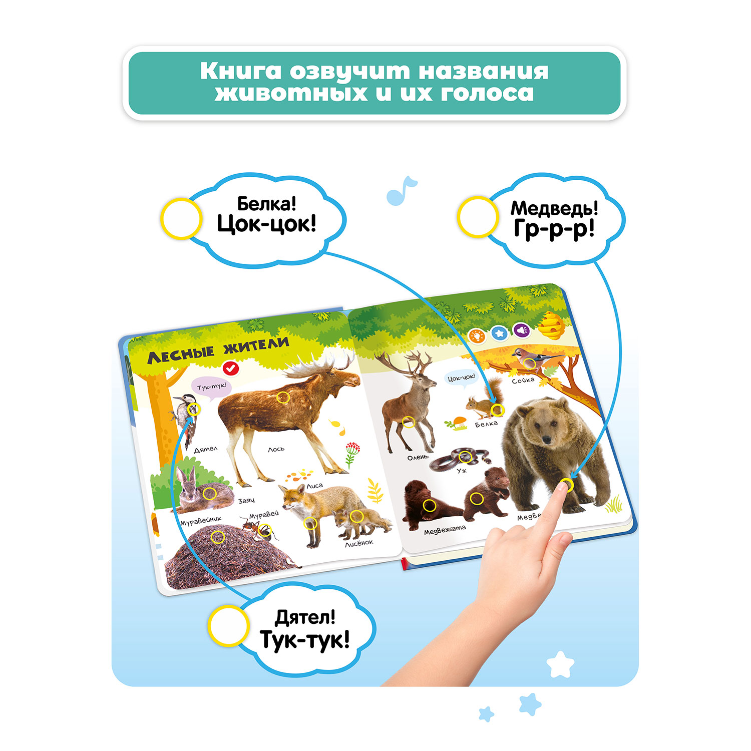 Комплект говорящих книжек BertToys Нажималки: Животные + Транспорт - фото 3