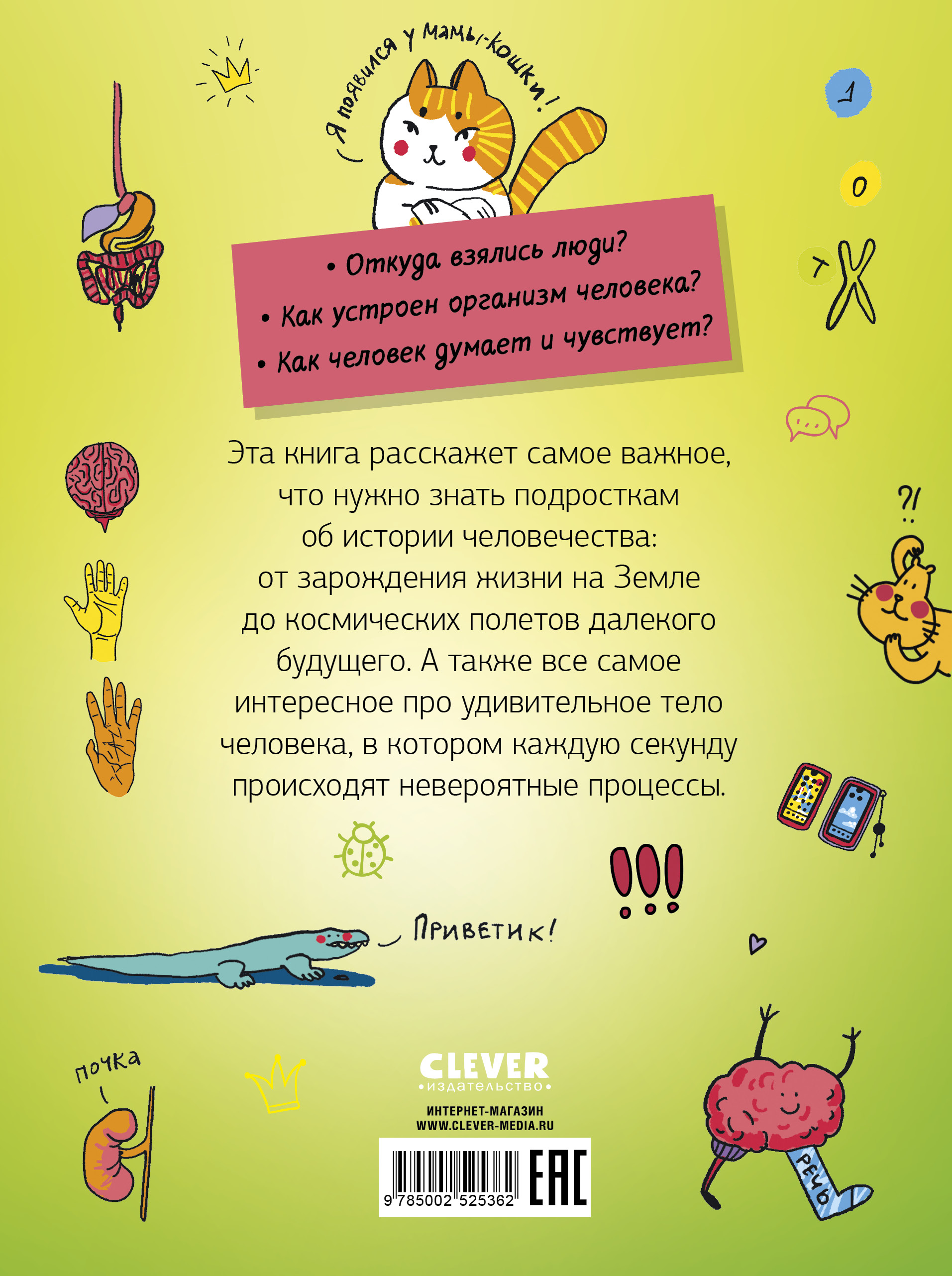 Этому в школе не научат! Clever Реальная биология. Как устроено тело человека - фото 7