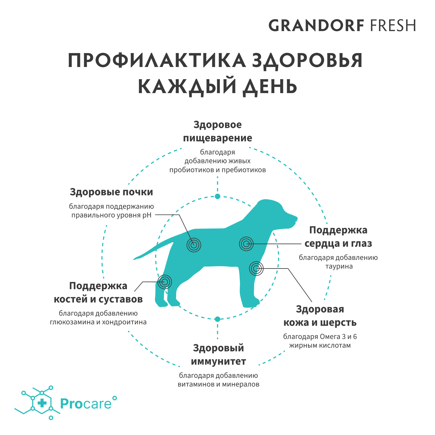 Корм для щенков Grandorf Fresh Junior Lamb/Sweet Potato сред и круп пород Свежее мясо ягненка 1кг беззерн с жив пробиотиками - фото 7