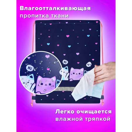 Мешок для обуви Brauberg