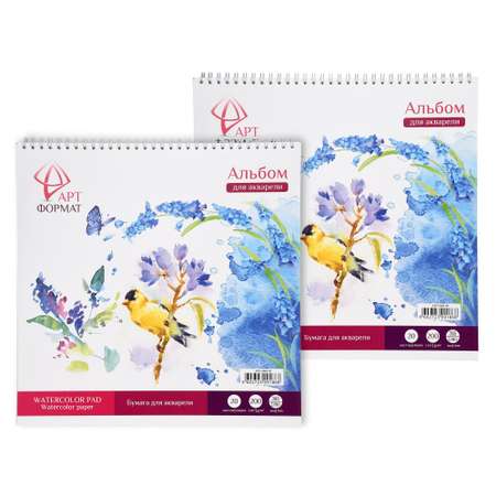 Альбом АРТформат 2 шт.