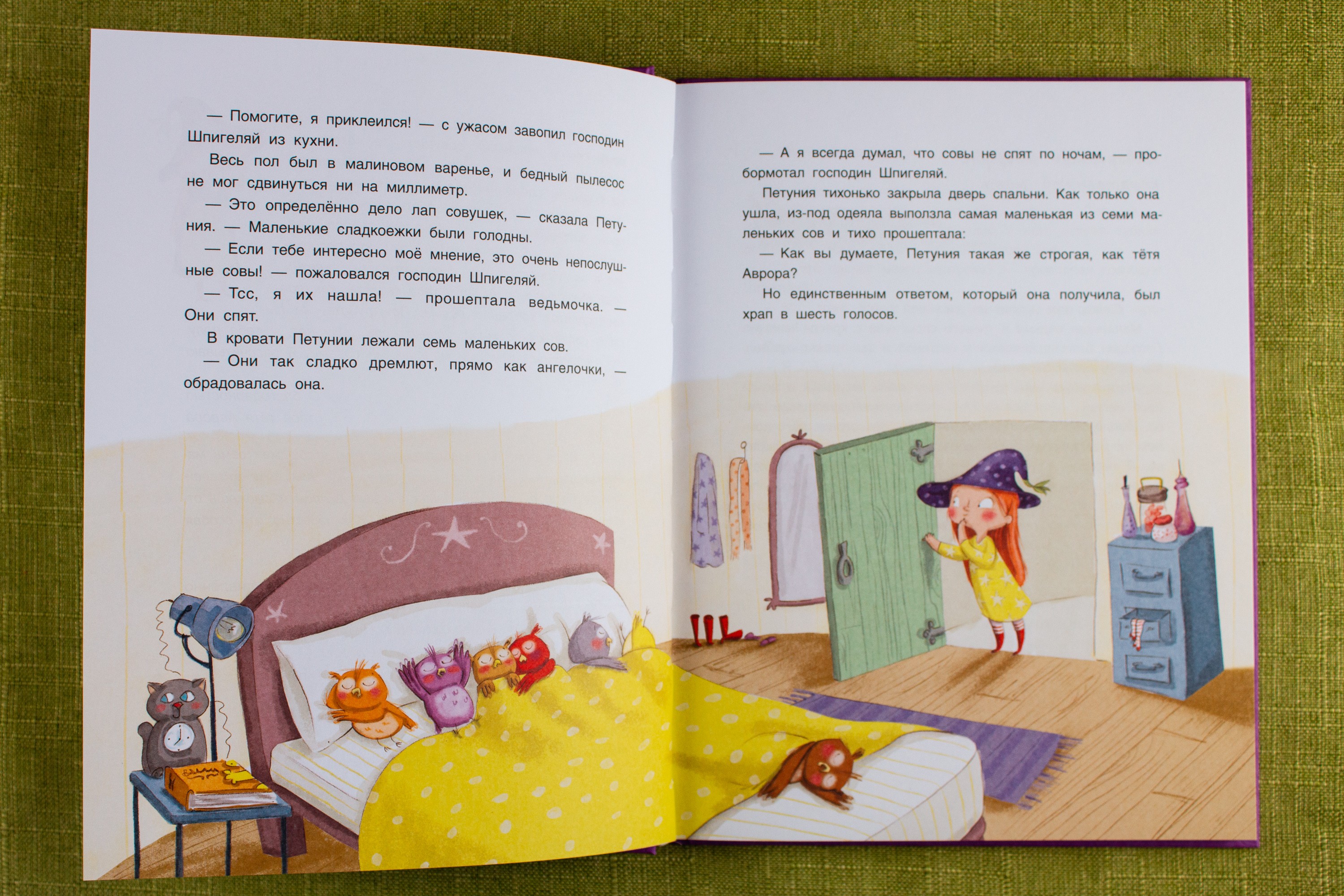 Книга Качели Семь непослушных сов - фото 6