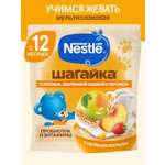 Каша молочная Nestle Шагайка Мультизлаковая яблоко земляника персик 190г