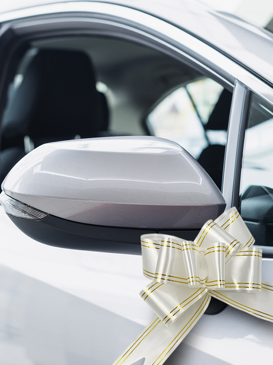 Набор бантиков AXLER для подарков 10 шт - фото 8