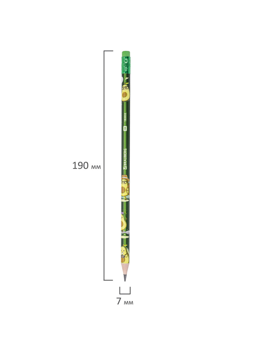 Карандаши Brauberg - фото 12