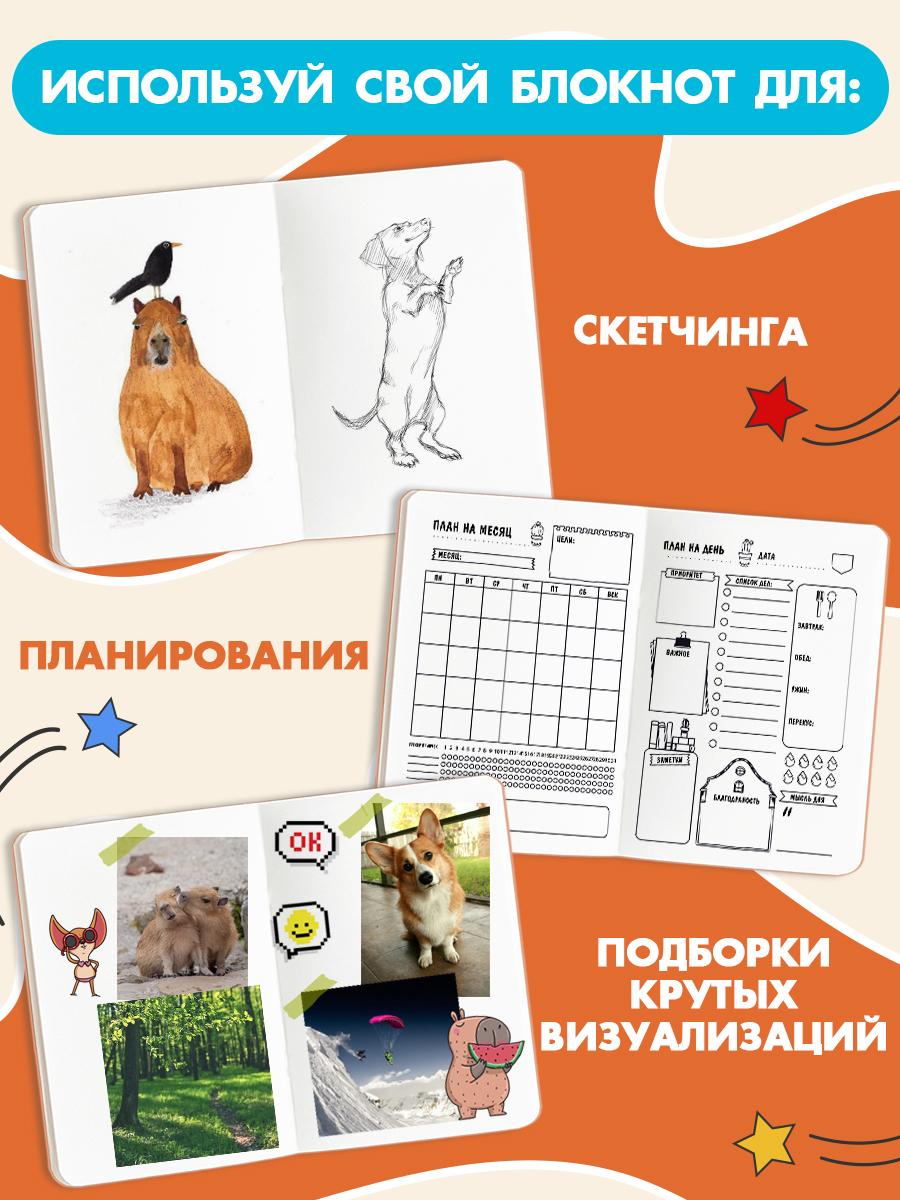 Блокнот Проф-Пресс Скетчбук А5. Капибара 80 л. - фото 4