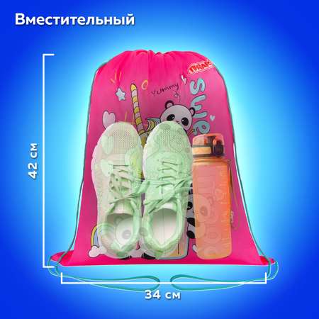 Мешок для обуви Пифагор