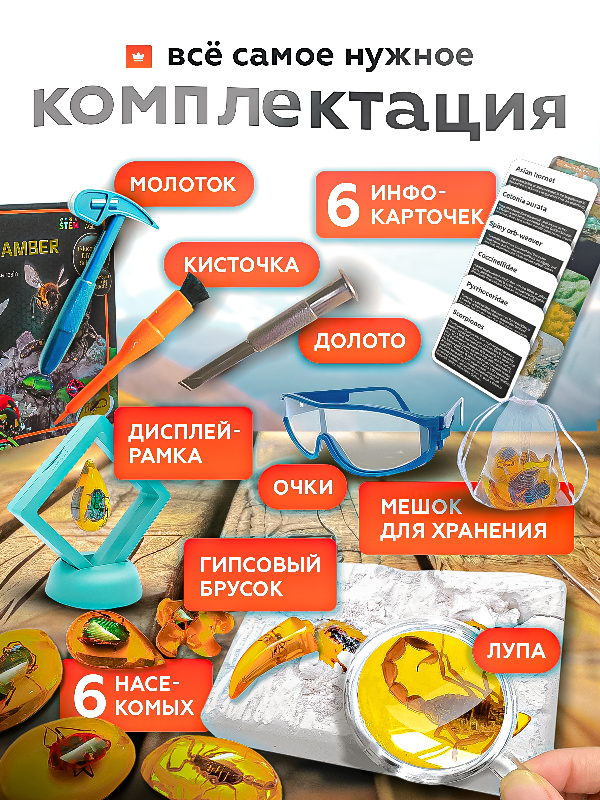 Набор для раскопок SHARKTOYS Насекомые в янтаре - фото 2