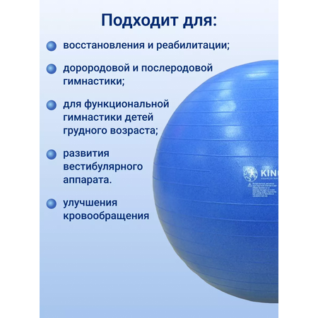 Фитбол KINERAPY 75 см