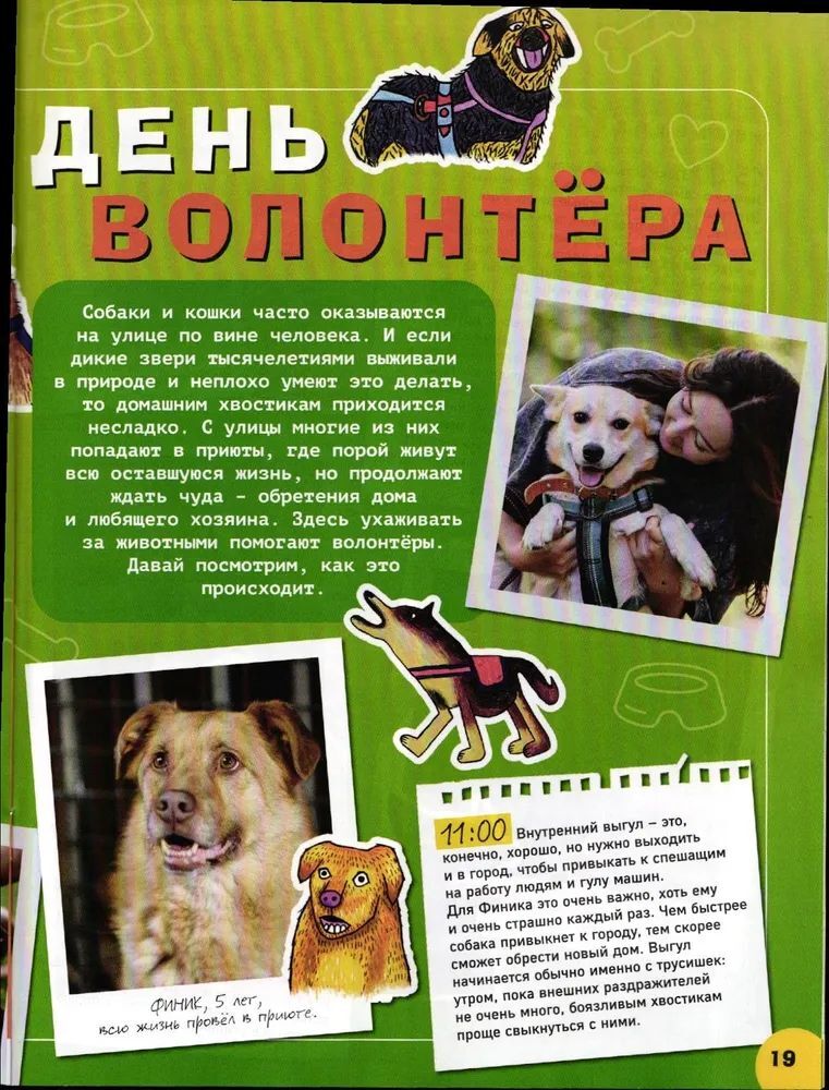 Набор из 2-х детских журналов ИД Лев №7 и №8 2025г - фото 5