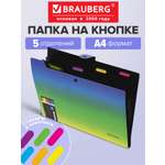 Папка-органайзер Brauberg зелено-голубой градиент А4
