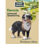 Фигурка DARWIN Собака Бернский зенненхунд