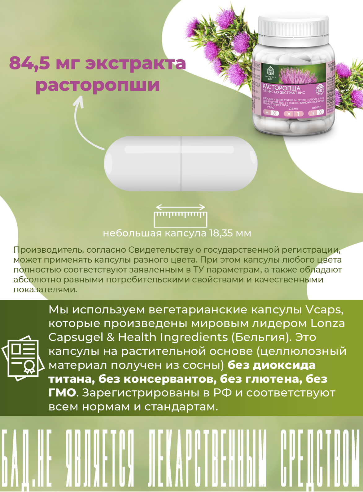 БАД Экстракт-ВИС Расторопша пятнистая экстракт (Milk Thistle Standardized EXTRACT VIS) капсулы №30 - фото 4