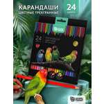 Карандаши цветные SCHOOLFORMAT 24 шт.