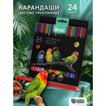 Карандаши цветные SCHOOLFORMAT 24 шт.