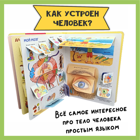 Детские книги с окошками БимБиМон набор энциклопедий про тело человека и динозавров