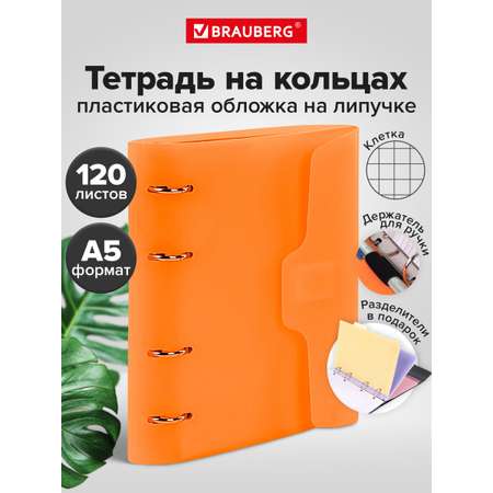 Тетрадь со сменным блоком Brauberg клетка 120 лист.