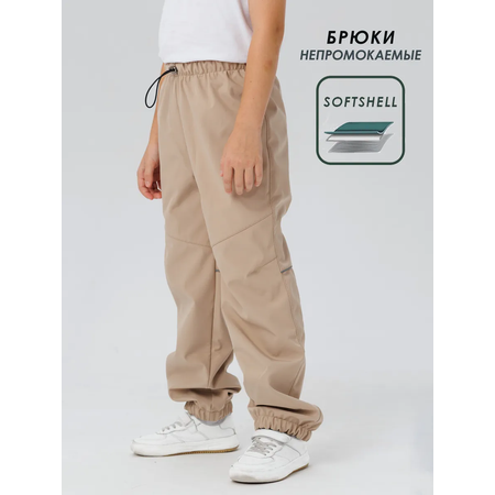Брюки Lemonwear