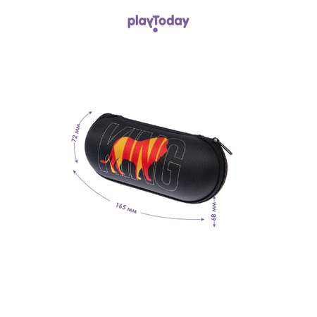Чехол для солнцезащитных очков PlayToday