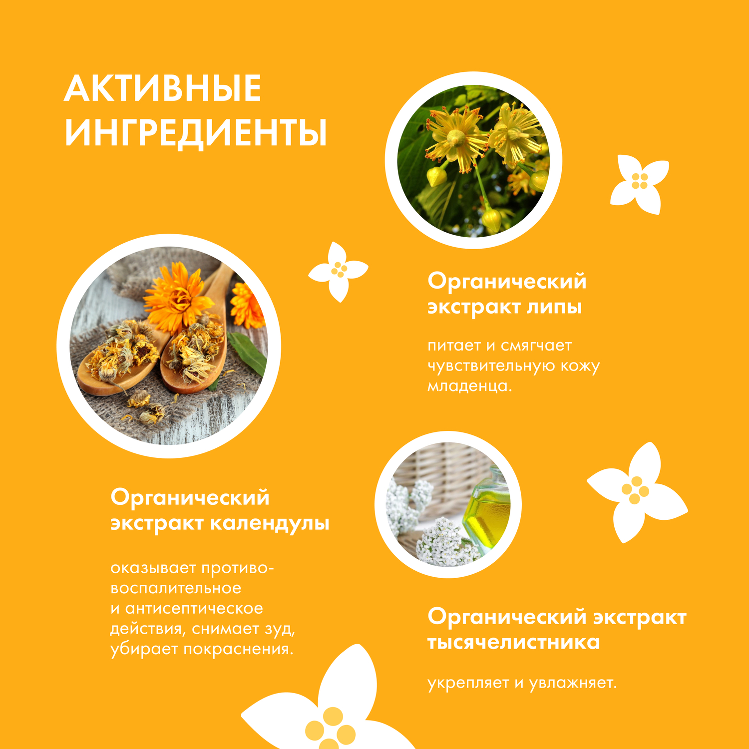 Шампунь Siberica Биберика - фото 6