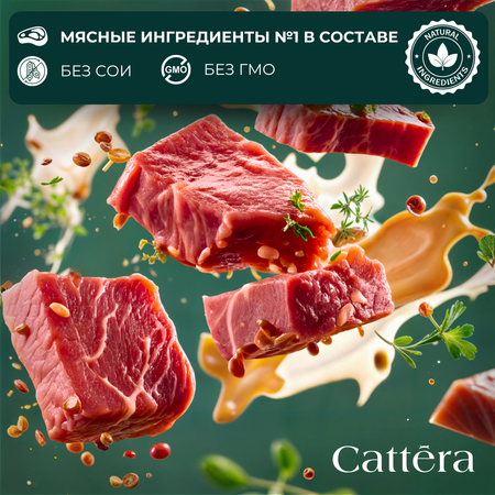 Корм сухой для кошек Cattera полнорационный для взрослых стерилизованных кошек с говядиной 0,7кг