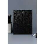 Изображение товара Дневник школьный Феникс + Блеск черный