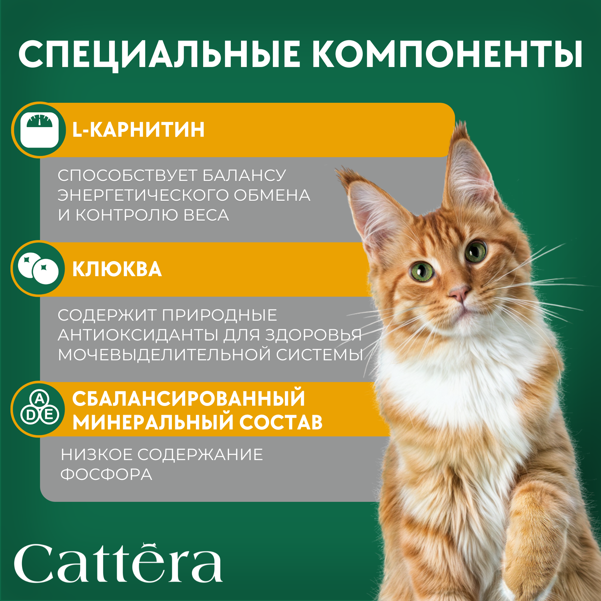 Корм влажный Cattera консервированный полнорационный - фото 5