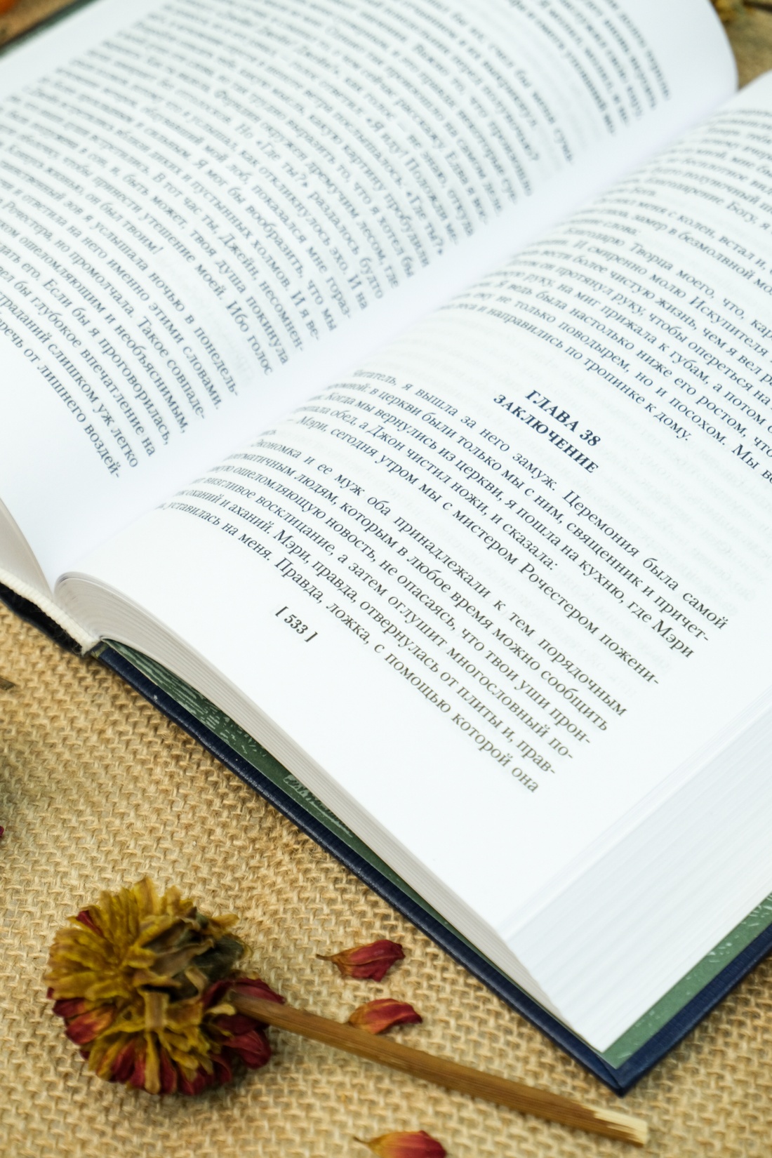 Книга АЗБУКА ИЛБК. Бронте Ш. Джейн Эйр. Учитель (с илл.) - фото 12