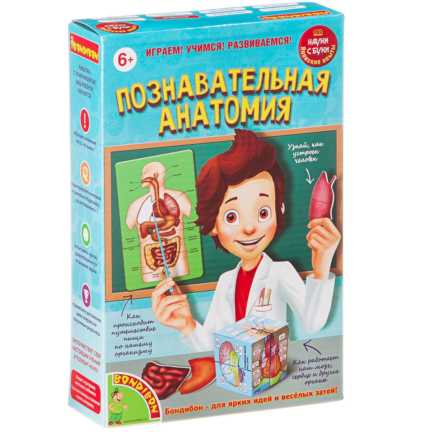 Наглядное пособие Bondibon Науки с Буки - фото 3