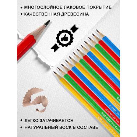 Карандаши чернографитные ACMELIAE 12 шт.