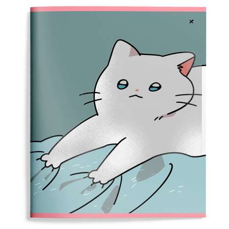 Общая тетрадь Lorex Stationery клетка 48 лист. 5 шт.