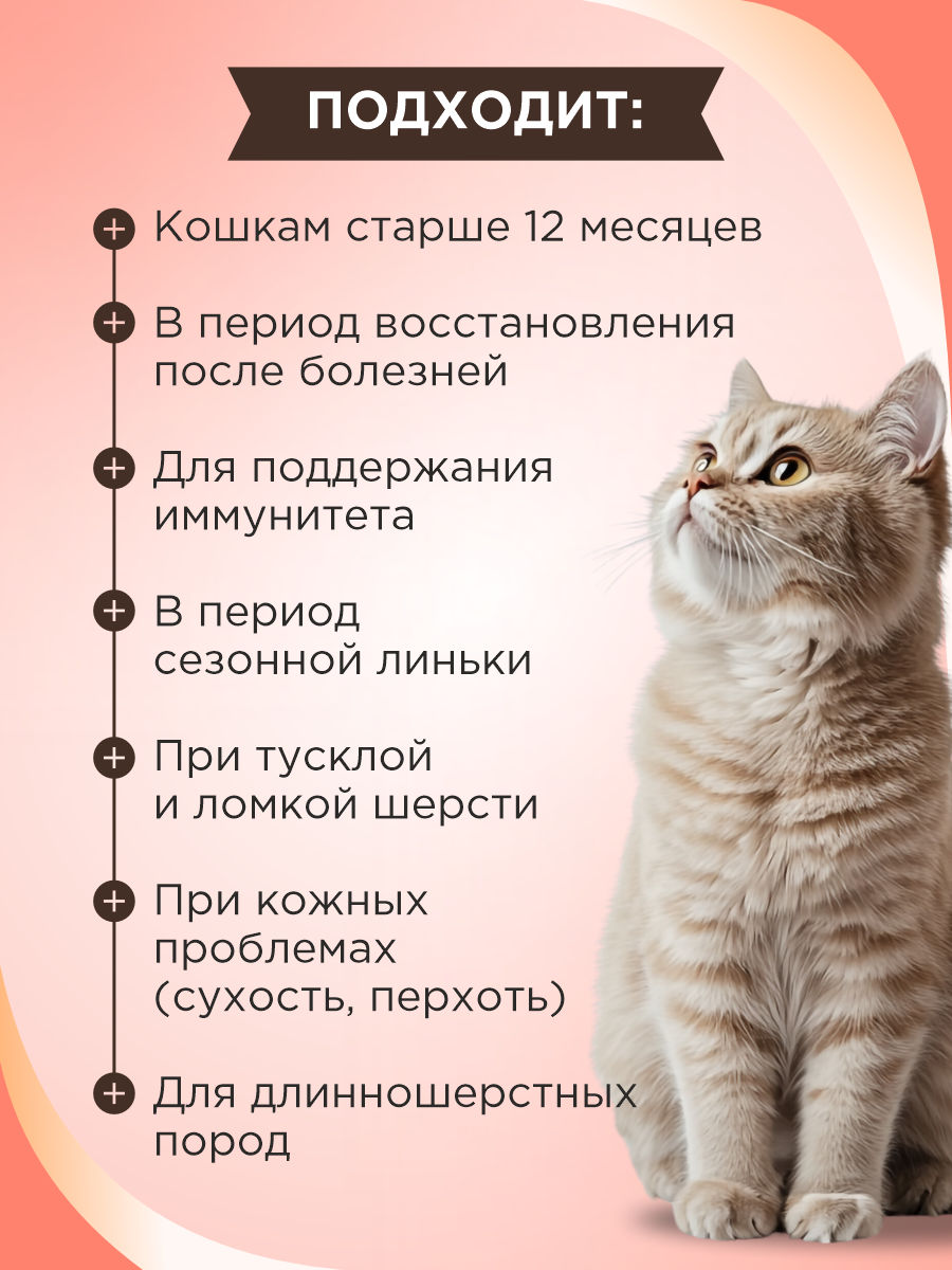Полезное лакомство для кошек GOODR CAT со вкусом норвежского лосося 90 таблеток - фото 2