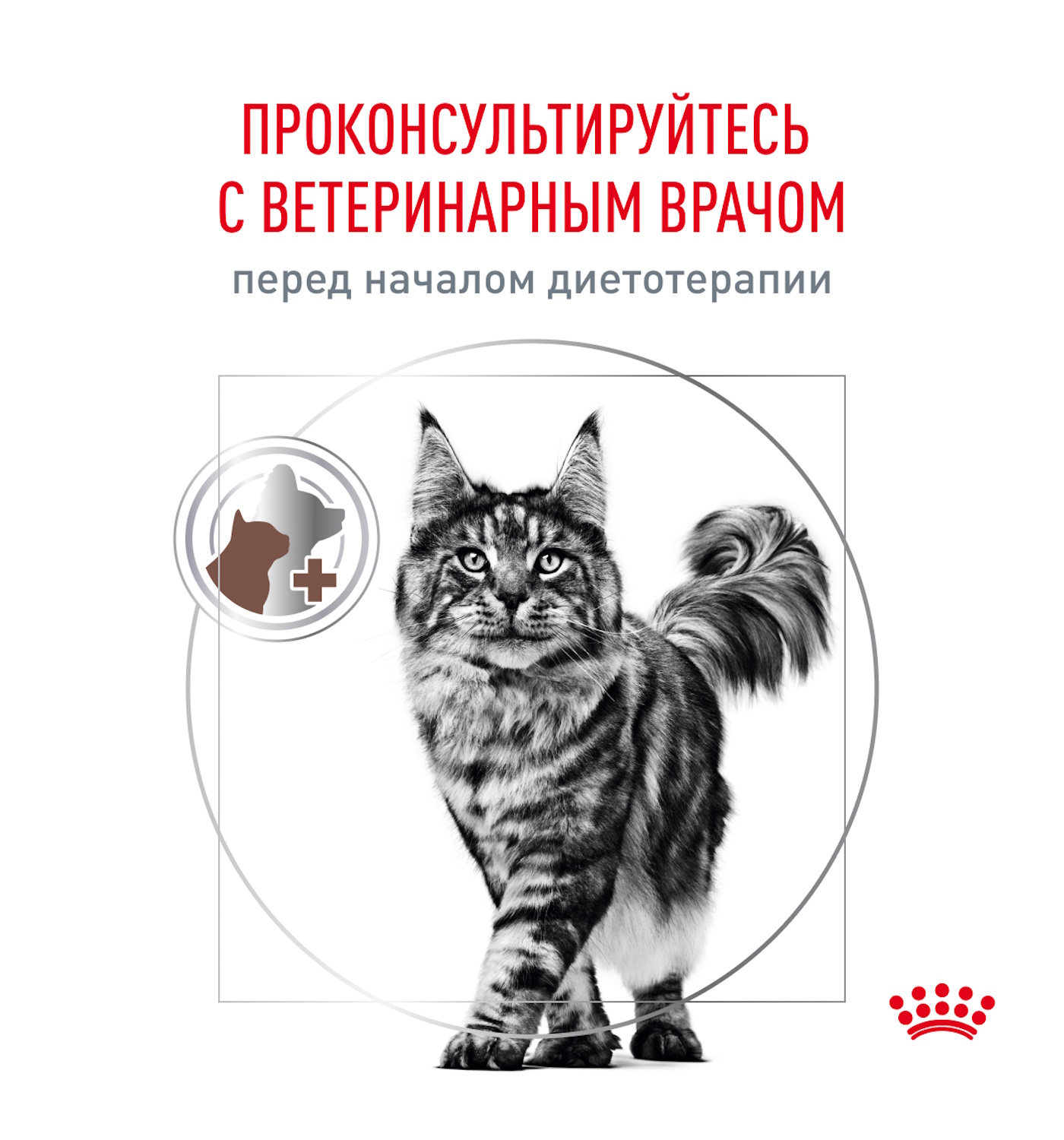 Корм для кошек ROYAL CANIN Fibre Response FR31 при запоре 2кг - фото 9