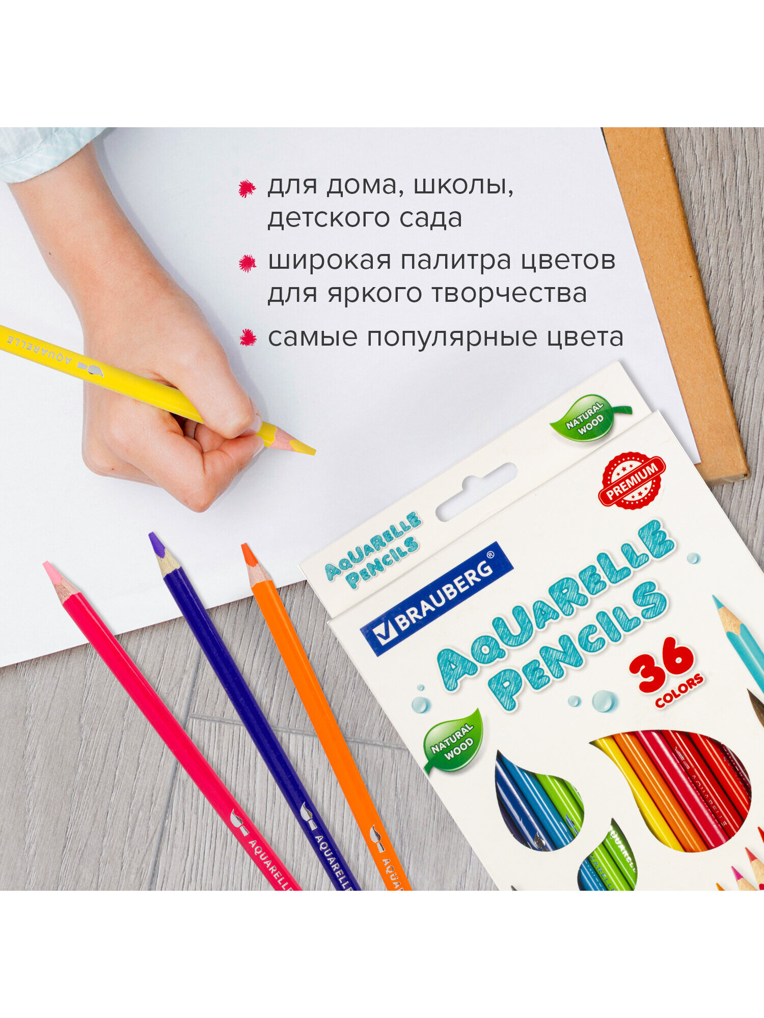 Карандаши акварельные Brauberg 36 шт. - фото 11