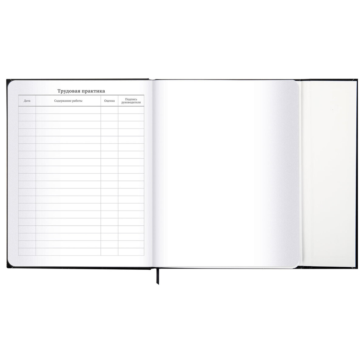 Дневник школьный Brauberg для девочек мальчика 1-11 класс - фото 21