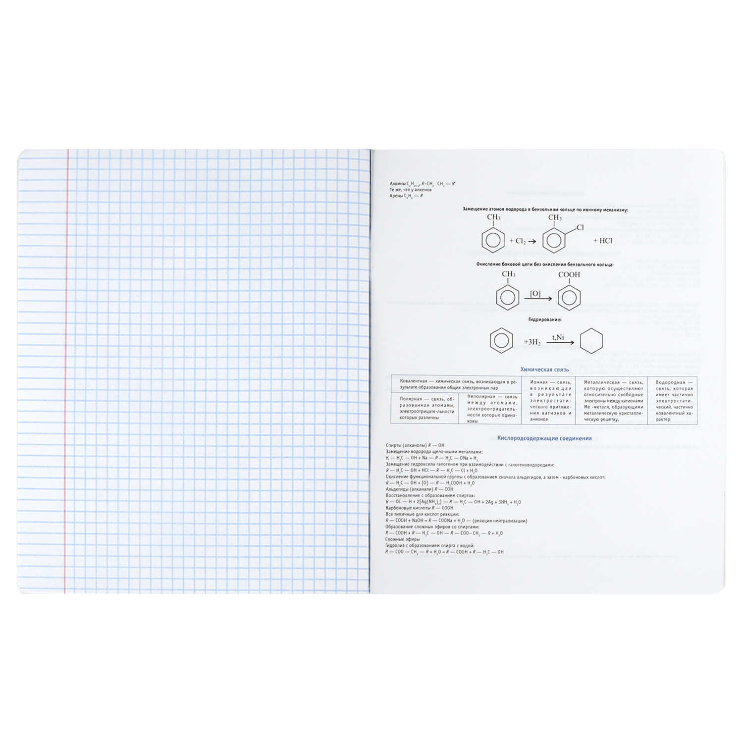Тетрадь Феникс + 48 лист. 15 шт. (Литература, Русский язык, Обществознание) - фото 10