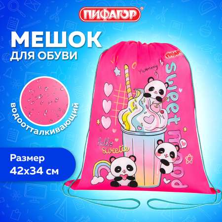 Мешок для обуви Пифагор